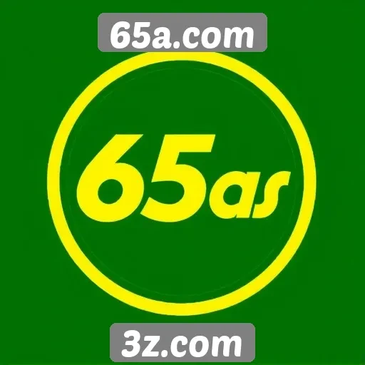 Recursos e funcionalidades oferecidos pelo 65a.com