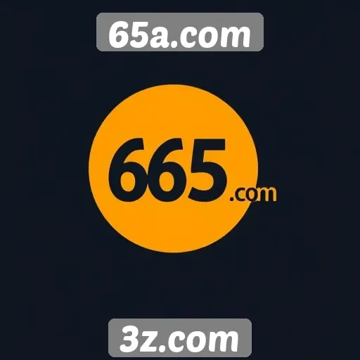 Análise das funcionalidades do site 65a.com